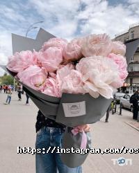 отзывы о Rosse фото