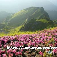Туристичні агентства, екскурсії Делтон фото
