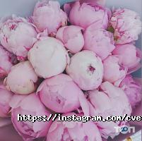 Cvetaeva Cafe Київ фото