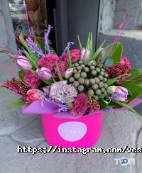 отзывы о Весна фото