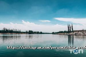 Музеи, выставки Первомайские пруды фото