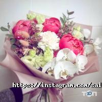 Salvia відгуки фото