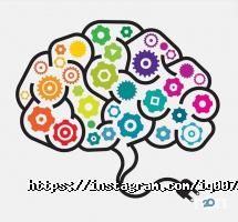 IQ007, школа скорочтения и развития интеллекта фото
