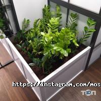 Облаштування присадибної ділянки Le Green фото