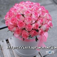 Jamilya flowers отзывы фото