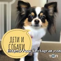 Зоомагазини і послуги для тварин Белвет фото