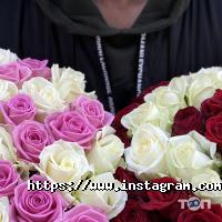 Odessa flowers Одеса фото