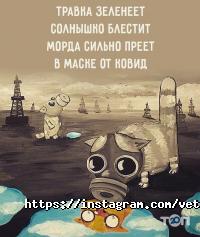 Ветеринарний будиночок, ветклініка фото