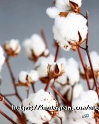 Магазини одягу та взуття Вінтаж фото