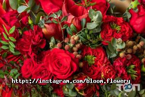 відгуки про Bloom фото