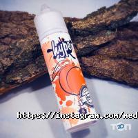 Meduza відгуки фото