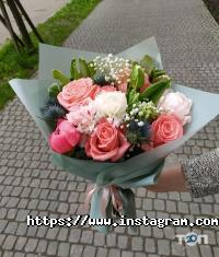 Древо Бажань відгуки фото