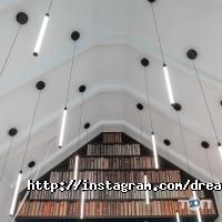 Департамент будівництва та шляхового господарства Миколаїв фото