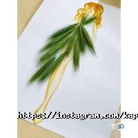 Вищі навчальні заклади Київська академія перукарського мистецтва фото