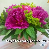 Violette une fleur, цветочный салон фото