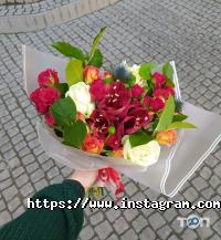 Магазини квітів Древо Бажань фото