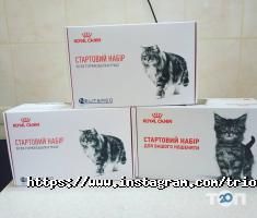 відгуки про Тріовет фото