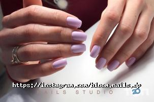 відгуки про Bloom фото