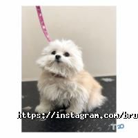 відгуки про Bruno Groom фото