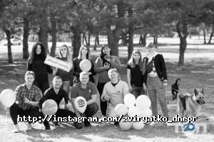 Ветеринарні клініки Звірятко фото