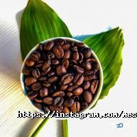 Meseta Дніпро фото