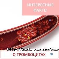 Лаборатории Смартлаб фото