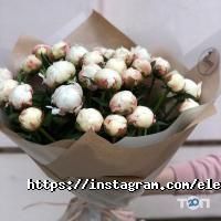 Elena flowers відгуки фото