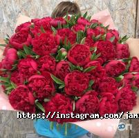 Оформление зала, доставка цветов Jamilya flowers фото