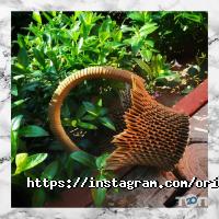 Кристина Глухан отзывы фото