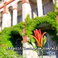 Туристичні агентства, екскурсії Мілленіум фото