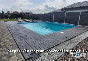 Ліс відгуки фото