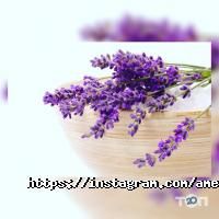 Амелі відгуки фото