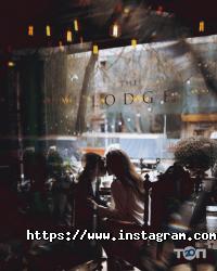 The Lodge відгуки фото