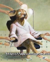 відгуки про ВертиХвіст фото