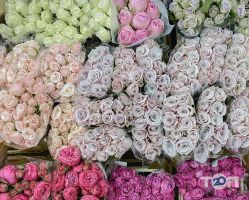 Flowers-Shop.com.ua Ужгород фото
