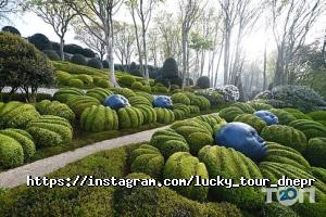 Lucky Tour Дніпро фото