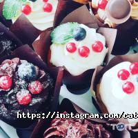 Cater.kz отзывы фото