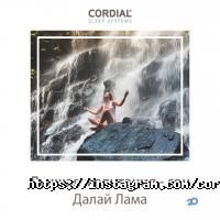 отзывы о TEMPUR фото