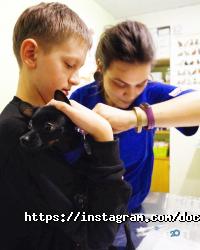 Доктор Вет Харків фото