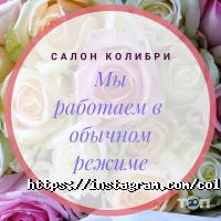 Колібрі Дніпро фото