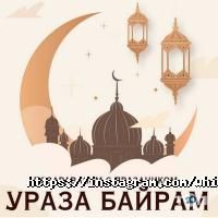 White & Dry, химчистка фото