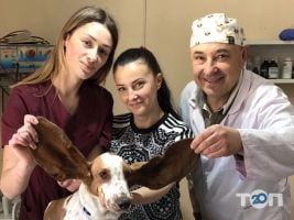 Ветеринарная помощь Черновцы фото