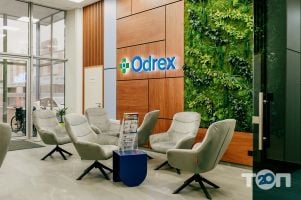 Odrex отзывы фото