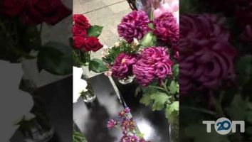 Lime flowers & decor, студія квітів та декору у Вінниці Lime flowers & decor, студія квітів та декору м. Вінниця
