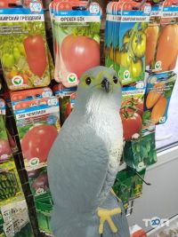 отзывы о Тм agri фото