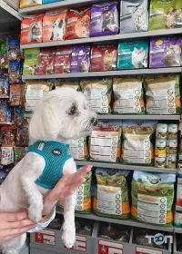 Tor Zoo Зоомагазин Одеса фото