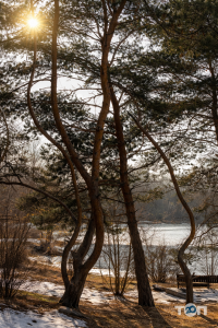 компания Зеленый огонек фото