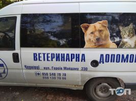відгуки про Ветеринарна допомога на Героїв Майдану фото