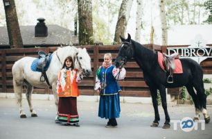 Мустанг відгуки фото