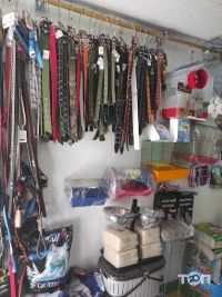 БАРС Тернопіль фото